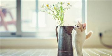口號大全